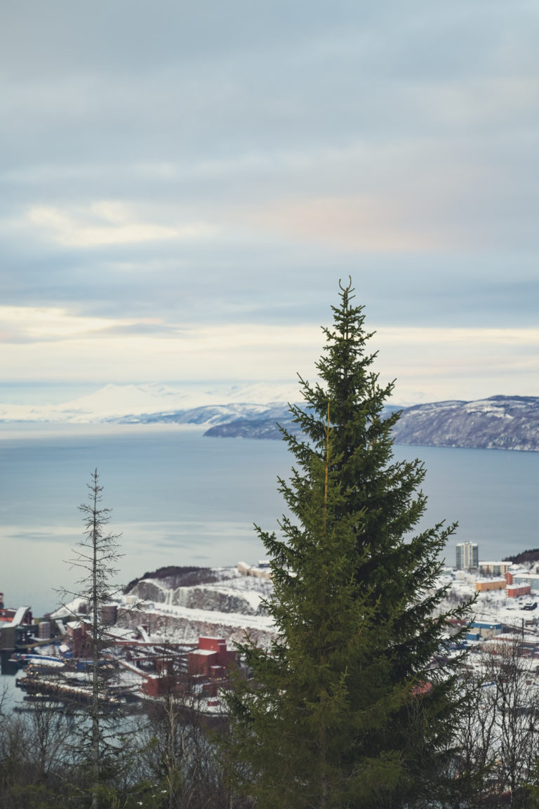 Viewpoint at Narvikfjellet, looking down at Narvik Centrum.