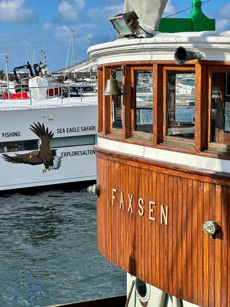 Havørnsafari med RIB eller fisketur med veteranbåt? Foto: Roger Johansen / Bodø / nordnorge.dev09.dekodes.no