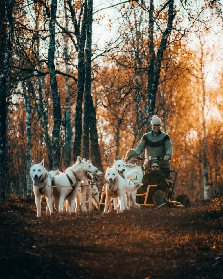 Autumn is time to get in shape ahead of the winter dog sledding season © Seffis / Team Renommé