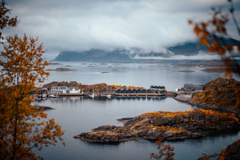 Mist and autumn foliage at Hamn i Senja on Senja's outer coast © Sophia Sornesdotter