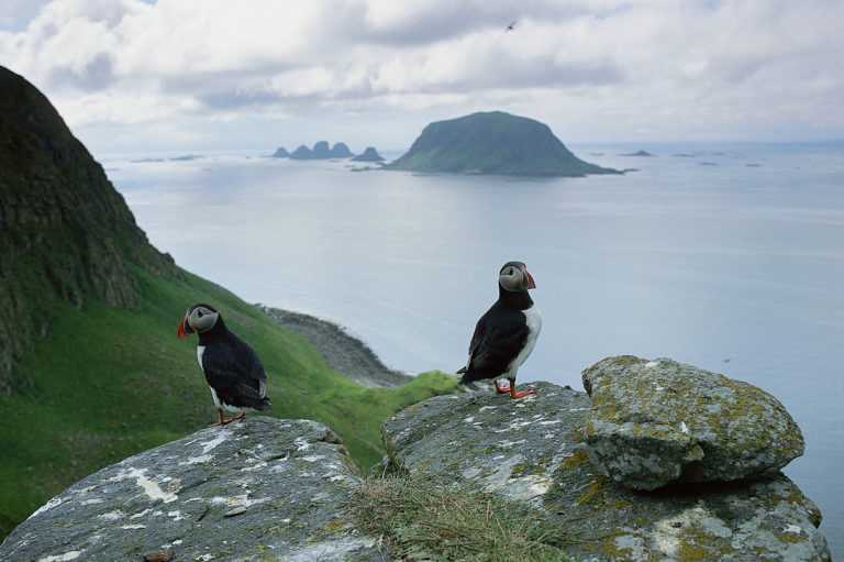 © Bård Løken / nordnorge.dev09.dekodes.no