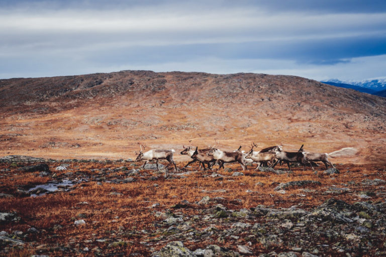 Autumn mountains © Petr Pavlíček / Visit Lyngenfjord
