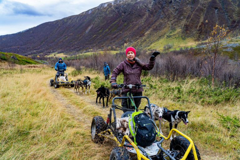 Autumn is get-in-shape time for the dogs © Petr Pavlíček / Visit Lyngenfjord