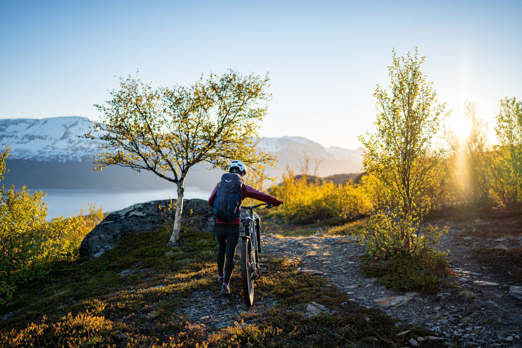 Low autumn sun turns yellow leaves into gold © Petr Pavlíček