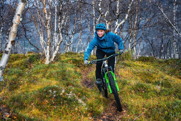 Autumn heather at the Lyngen Fjord © Petr Pavlíček