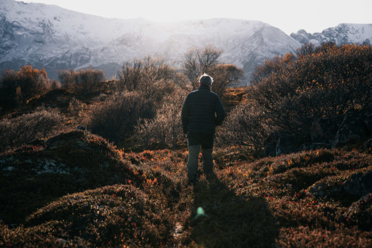 Autumn on Bjarkøya Island © André Askeland
