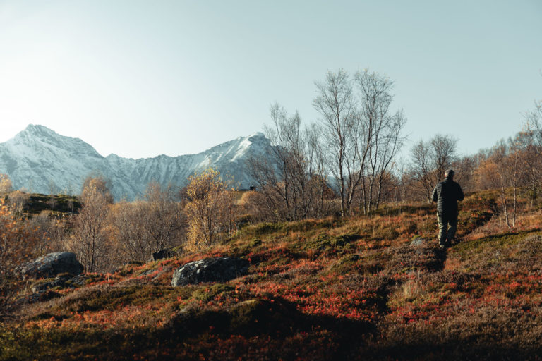 Autumn terrain at Bjarkøya Island © André Askeland