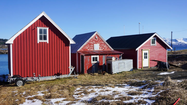 Small boathouses found along the shore near the remnants of Tore Hund's ship. Due to the land rising in Scandinavia they are a fair bit further down © Knut Hansvold