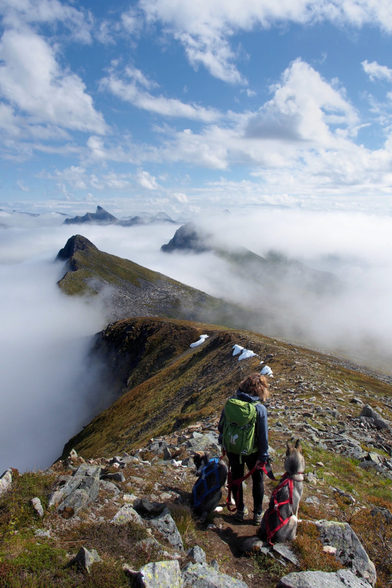 Tåkehav over Senja sett fra Husfjellet ved Skaland. Flott fottur fra Nasjonal turistveg Senja.

©Foto: Werner Harstad / Statens vegvesen