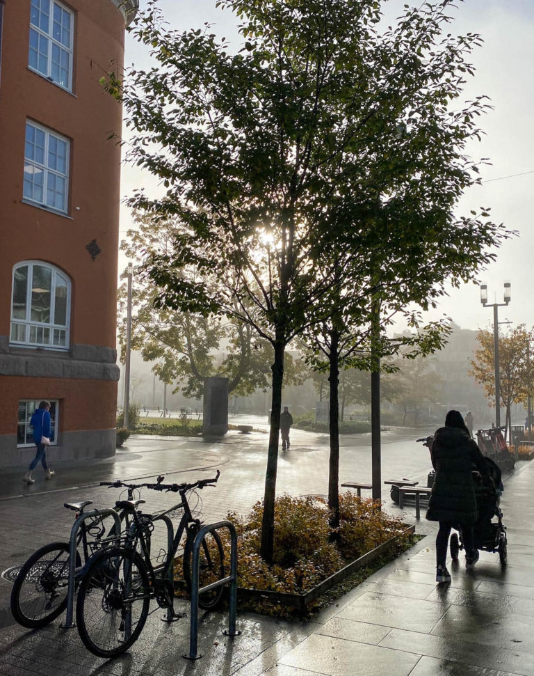 Foggy city walk © Knut Hansvold
