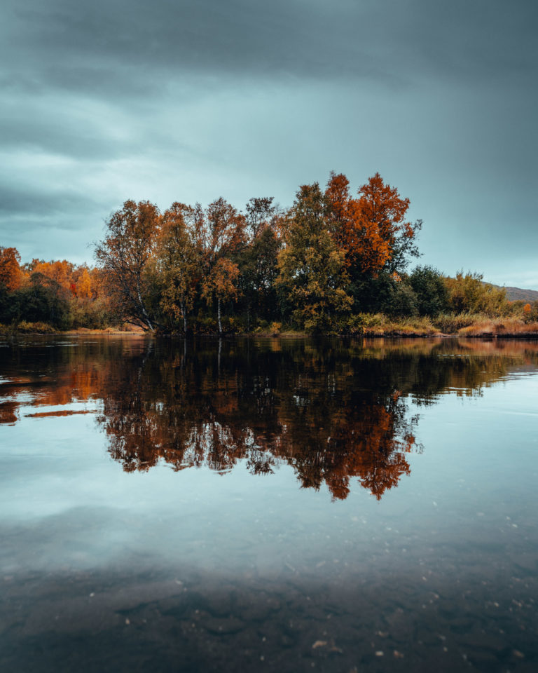 Herbstfarben auf der Insel Senja © Steffen Fossbakk