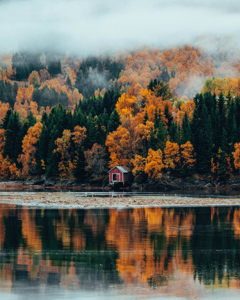 The Autumn mirroring in the fjord on the island of Senja © Steffen Fossbakk