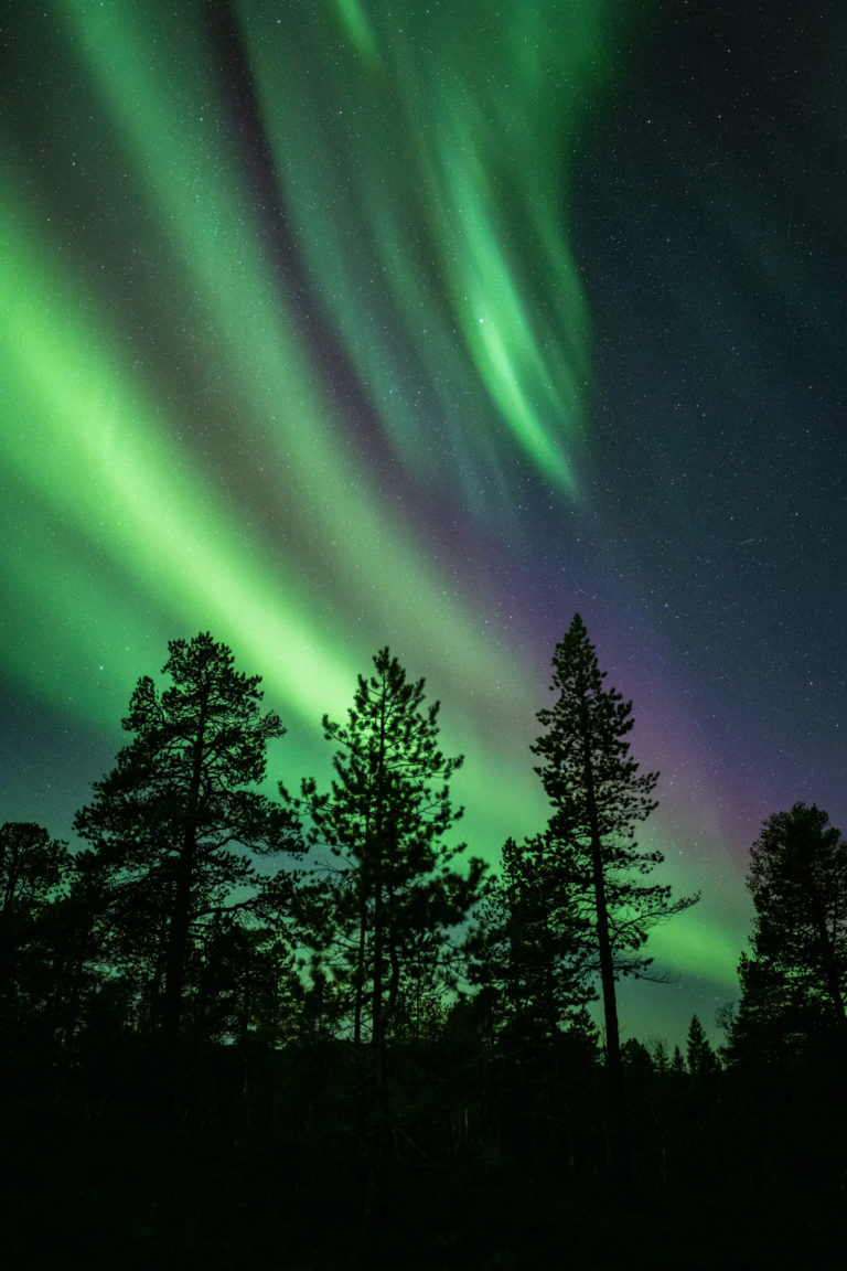 Northern Lights in Ånderdalen on the island of Senja © Kristoffer Vangen IG krisvang