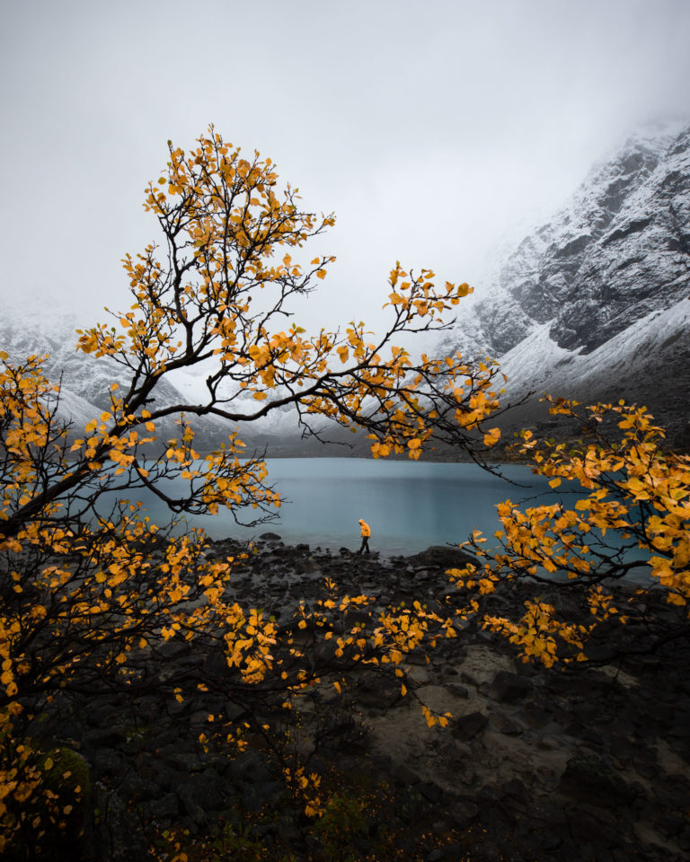 Ochre, deep brown and white - the colours of Senja © Kristoffer Vangen