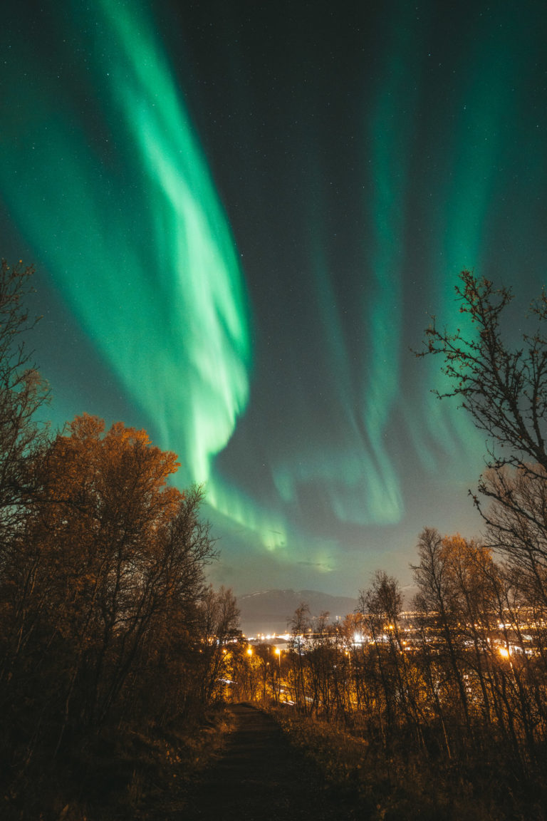 Heading up to to the mountain from the forest, and the Northern Lights turn up © jensenmedia