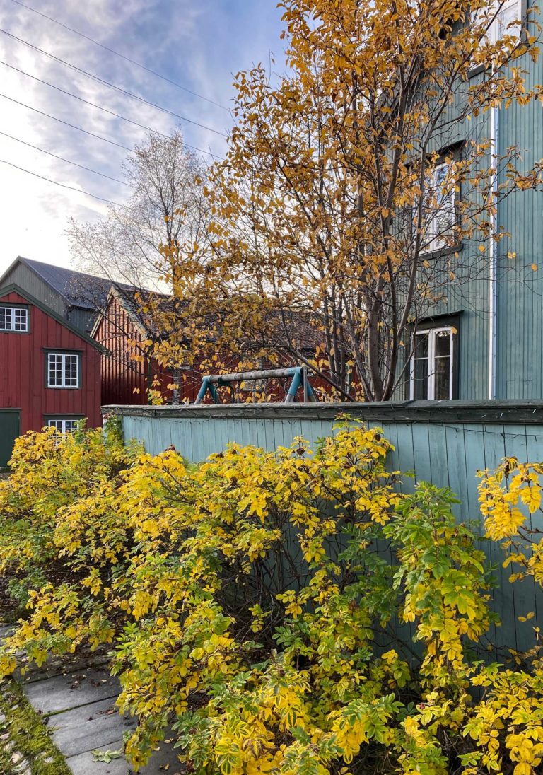 Autumn feel in Old Tromsø © Knut Hansvold