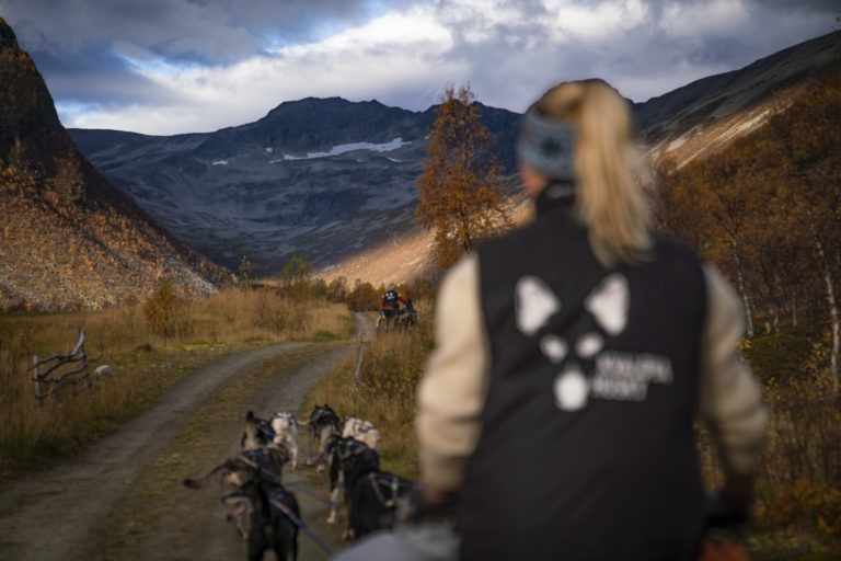 Dogsledding on wheels is great way to get deep into nature. © Martin Andersen