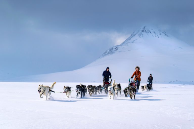 Blue light and dogsledding in Lyngenfjord © Petr Pavlíček / Visit Lyngenfjord