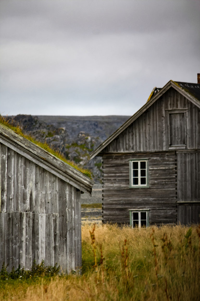 Høymugla og gresset får lov å stå mellom husene i Hamningberg, siden stedet ble fraflyttet etter 1970 © Katelin Pell 