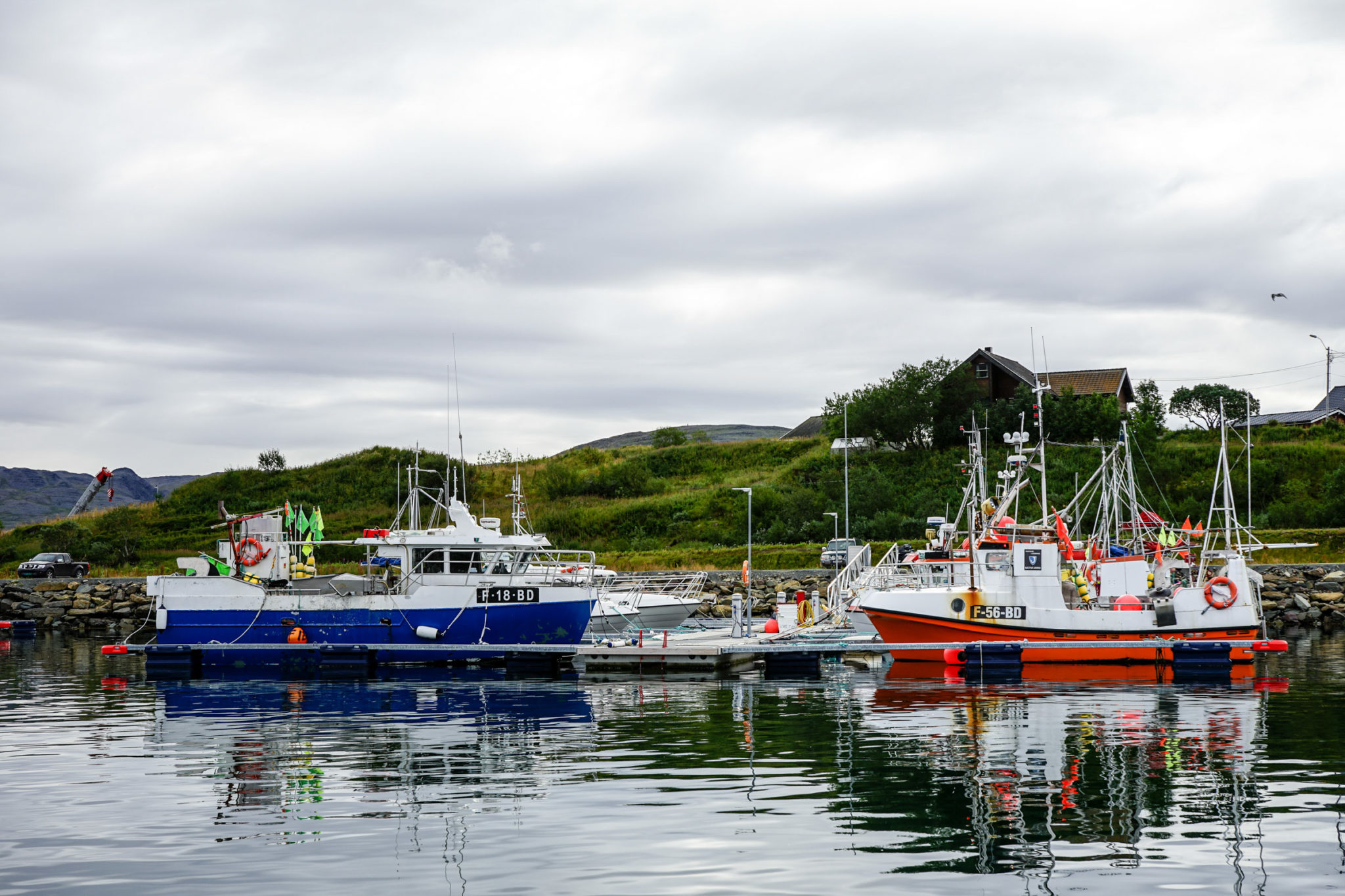 Fra havna i Båtsfjord © Katelin Pell