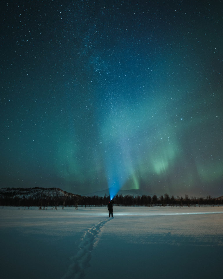 Quivering Northern Lights at Brygghaug, Southern Senja © Steffen Fossbakk