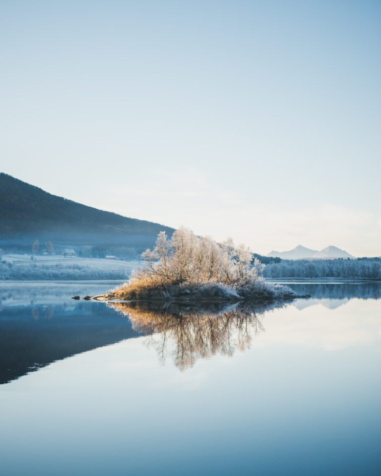 Pre- Christmas frost at lake Høglivatnet on Senja Island © Steffen Fossbakk