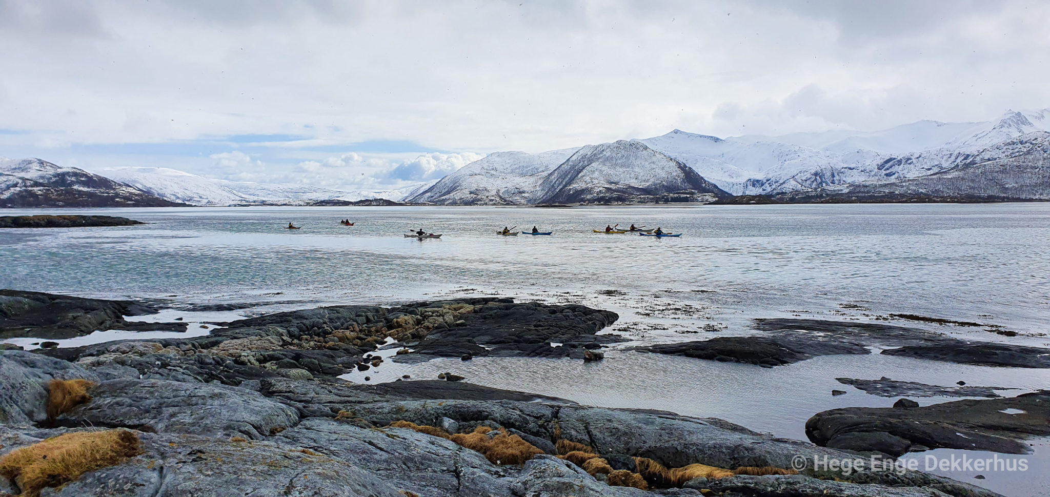 A little group heading out in late winter © Norwegian Wild