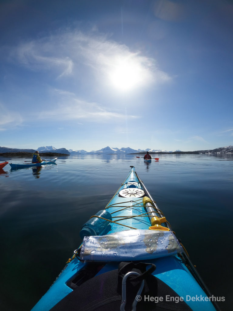 The sun is high in the sky in late winter at Tranøybotn, Senja © Norwegian Wild