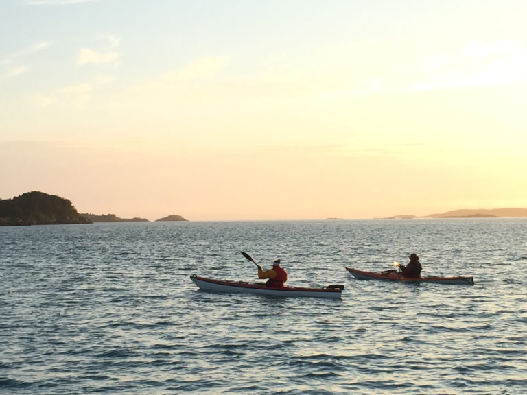 A myriad of islands can be reached from Hamn i Senja. Foto: Kristin Harila / nordnorge.dev09.dekodes.no