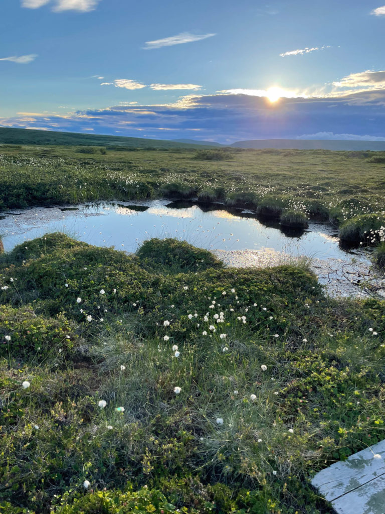 The Nattfjelldalen Valley leads into the plateau landscape of the Varangerhalvøya peninsula © Kristin Harila