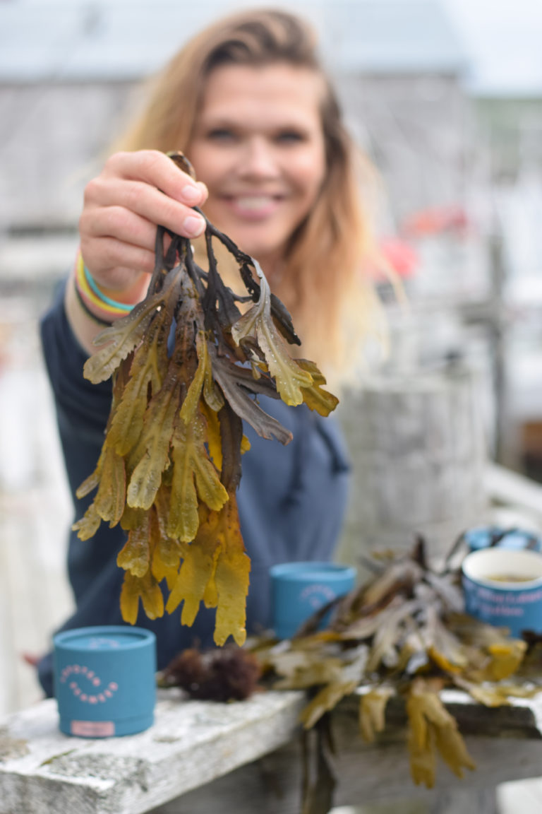 Lofoten SeaWeed. Photo: Mari Bareksten