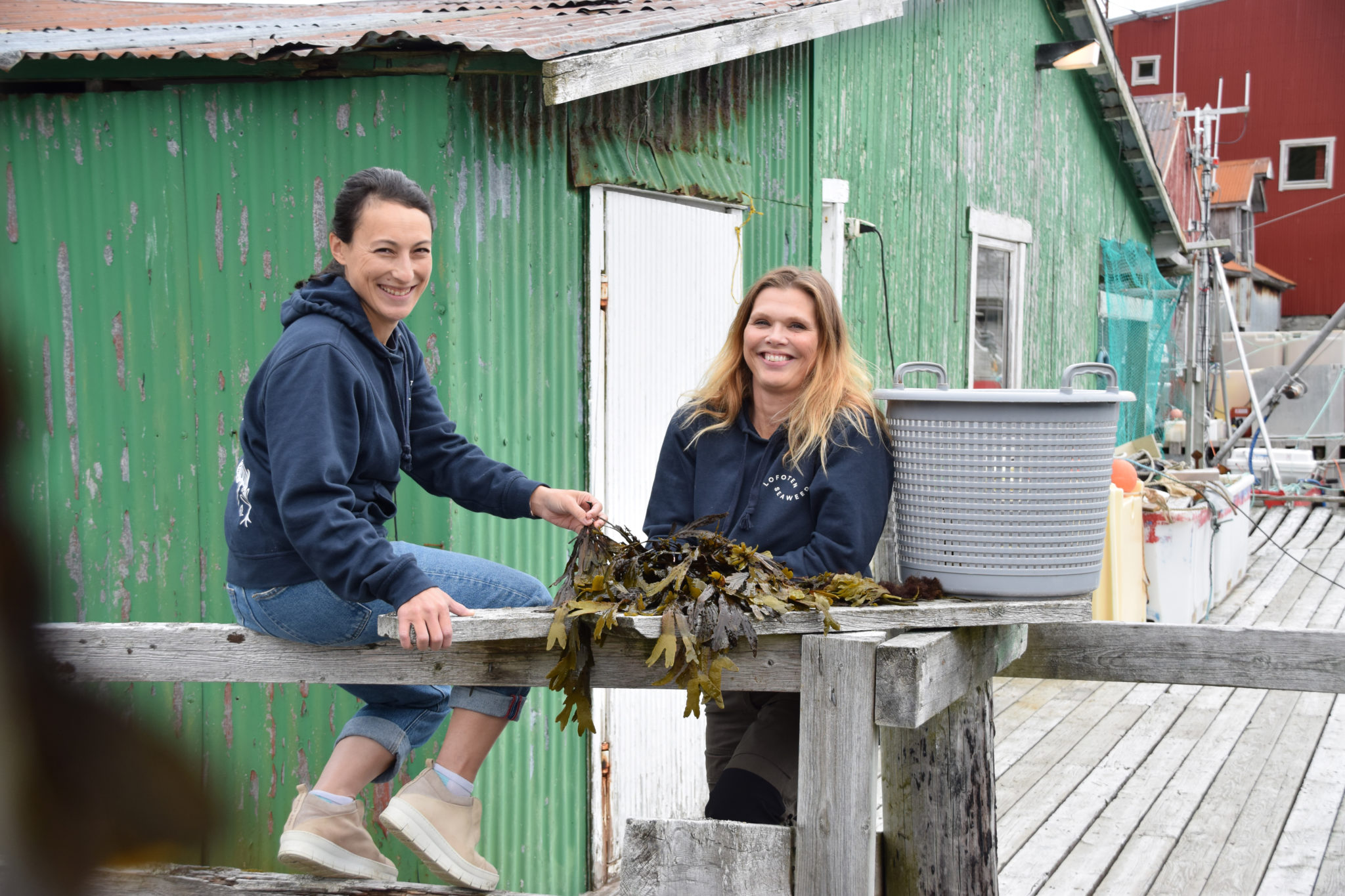 Lofoten SeaWeed. Photo: Mari Bareksten