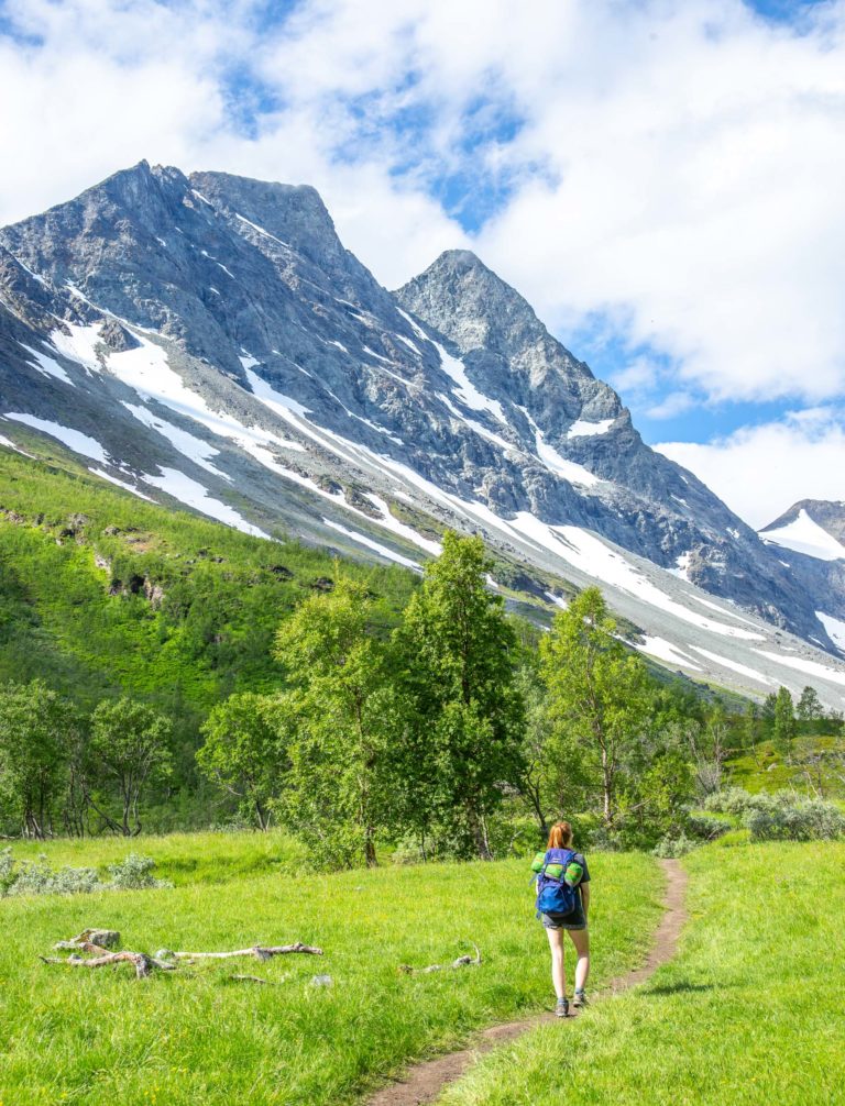 Lush and green at the start of the hike. The mightly Lyngen Alps create a sheltered climate  © William Copeland