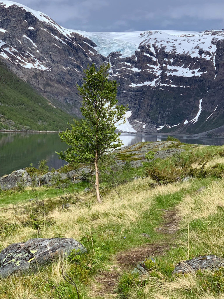 Looking at the Jøkelfjord glacier from land © Explore 70 Degrees