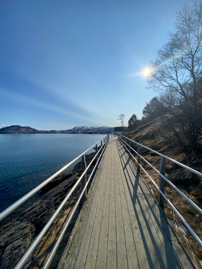 The path along the sea - Stien langs sjøen - in Harstad is an easy walk © Knut Hansvold