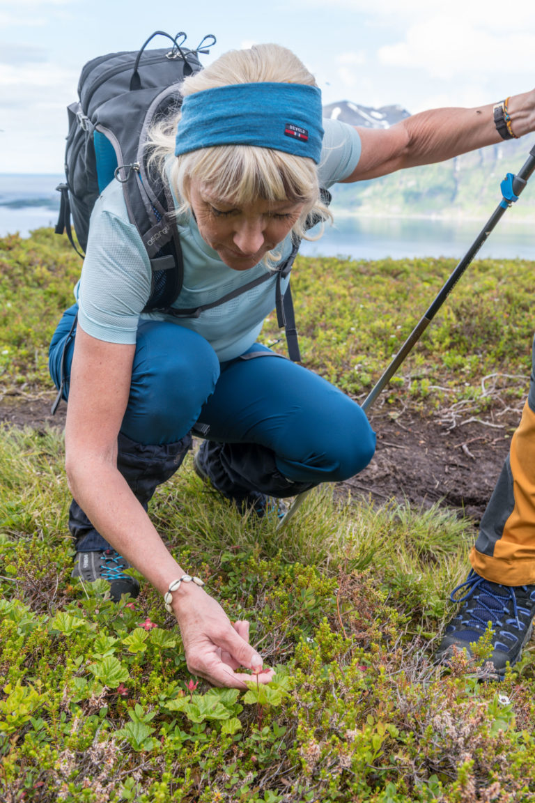 Check how the cloudberries are doing on the way up © Dag Roland