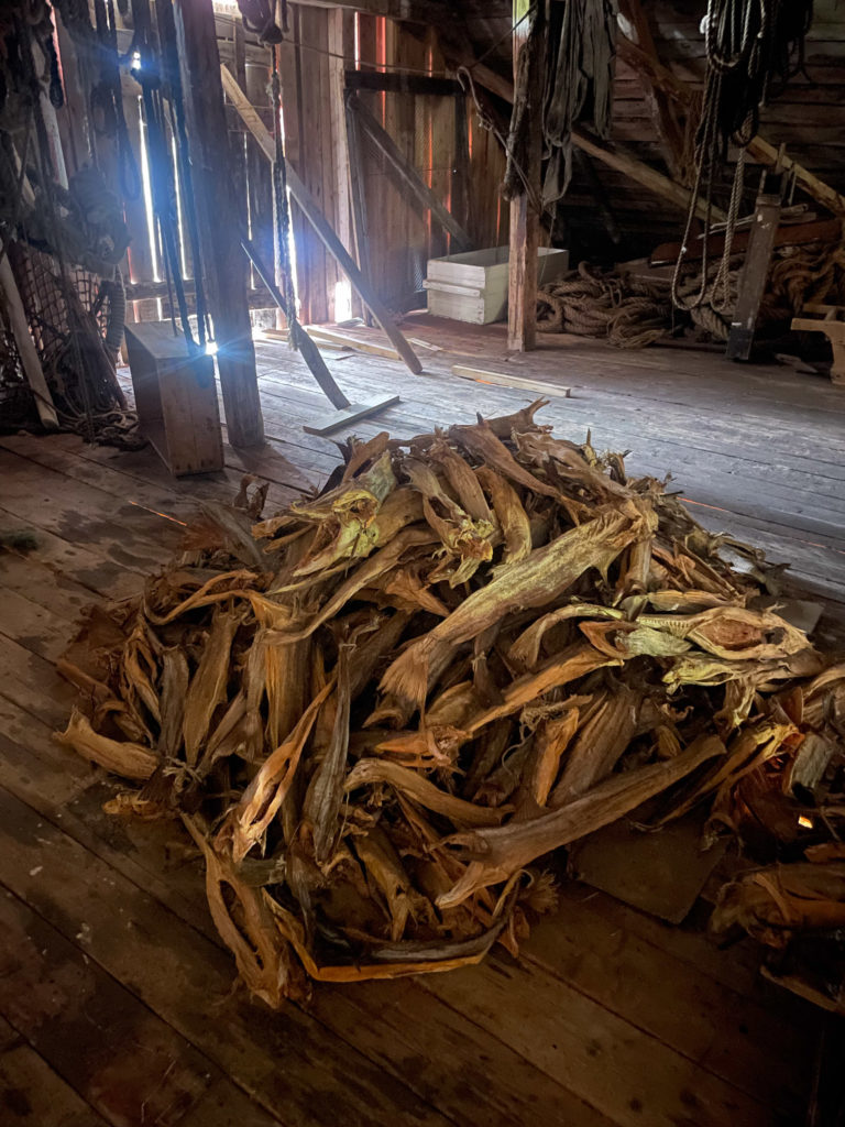 Stockfish at the loft of the Kveitmuseet - Halibut Museum - in Skrolsvik, Senja Island © Julie Lauritzsen / Visit Senja Region