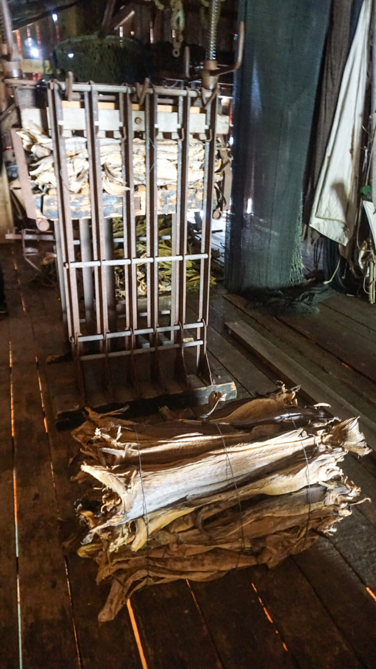 Stockfish press at the Kveitmuseet - Halibut Museum - in Skrolsvik © Knut Hansvold