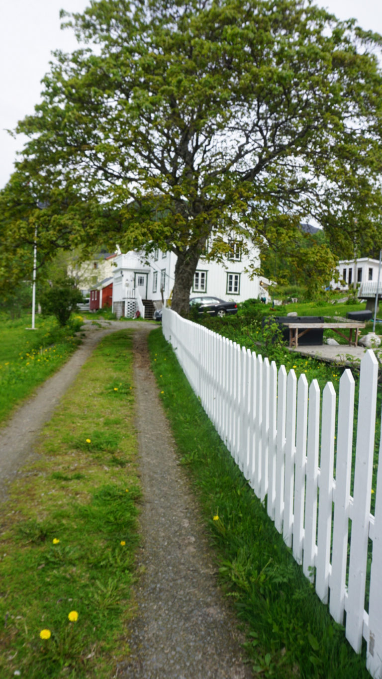 Skrolsvik is a picturesque fishing village © Knut Hansvold