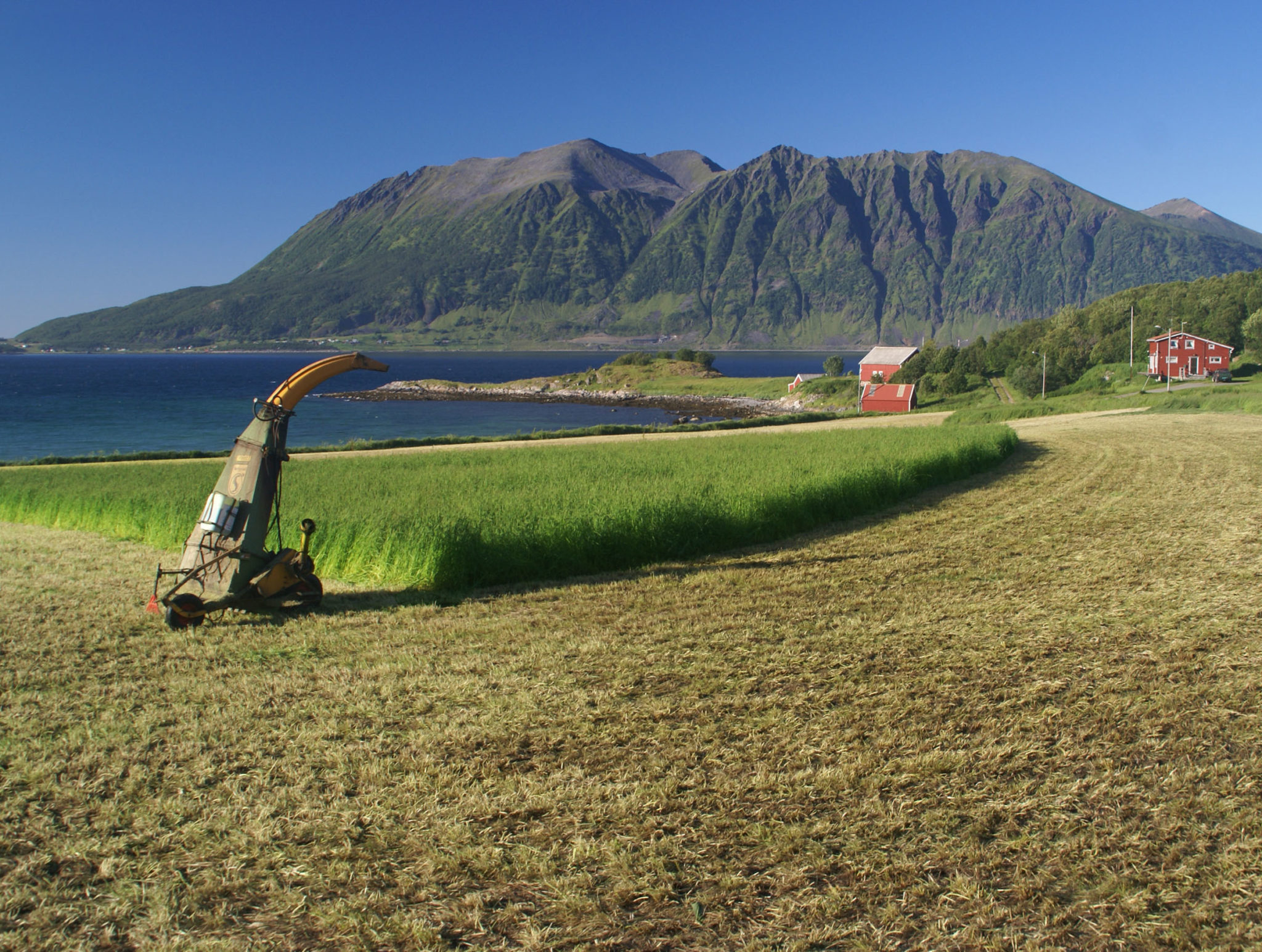 The fields of Elgsnes have been harvested for millennia © Tore Ruud / Elgsnes