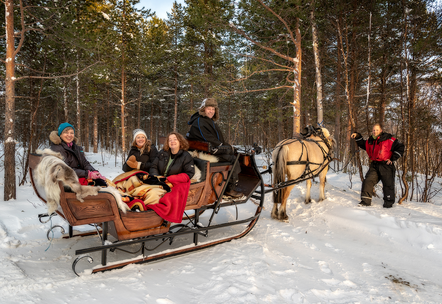 flatmoen natur horse fjording hest og slede